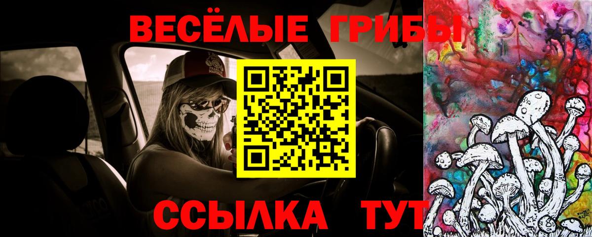 Галлюциногенные грибы мухоморы  Вход с VPN  Светлоград  Псилоцибиновые грибы GOLDEN TEACHER 